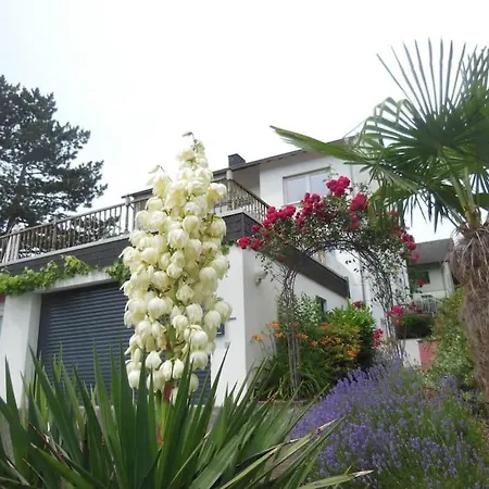 Apartamento Julia's Mosel Nicolas Traben-Trarbach