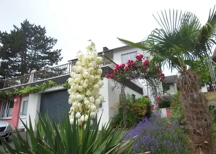 Appartamento Julia's Mosel Nicolas Traben-Trarbach